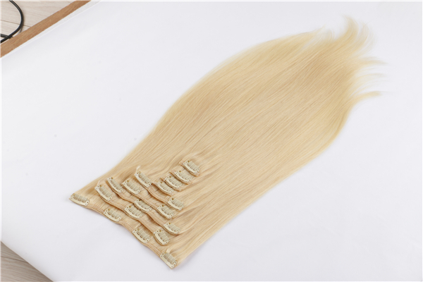 Hair Extensions Clip In Real Human Hair Extensions  Silky Straight Weft Remy Human YL340